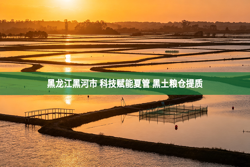 黑龙江黑河市 科技赋能夏管 黑土粮仓提质