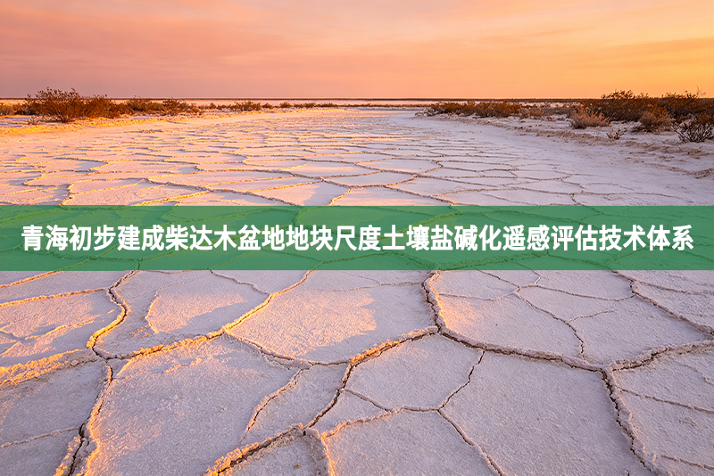 青海初步建成柴达木盆地地块尺度土壤盐碱化遥感评估技术体系