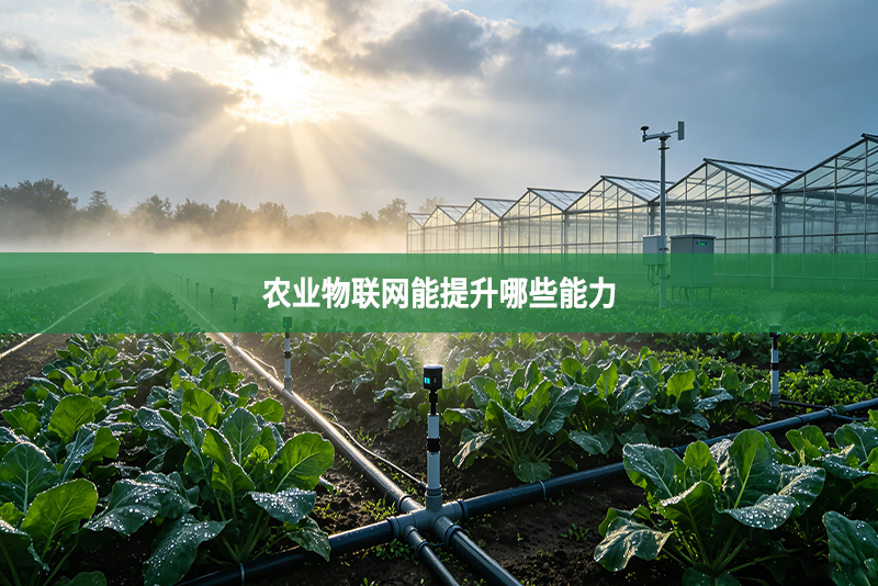 农业物联网能提升哪些能力