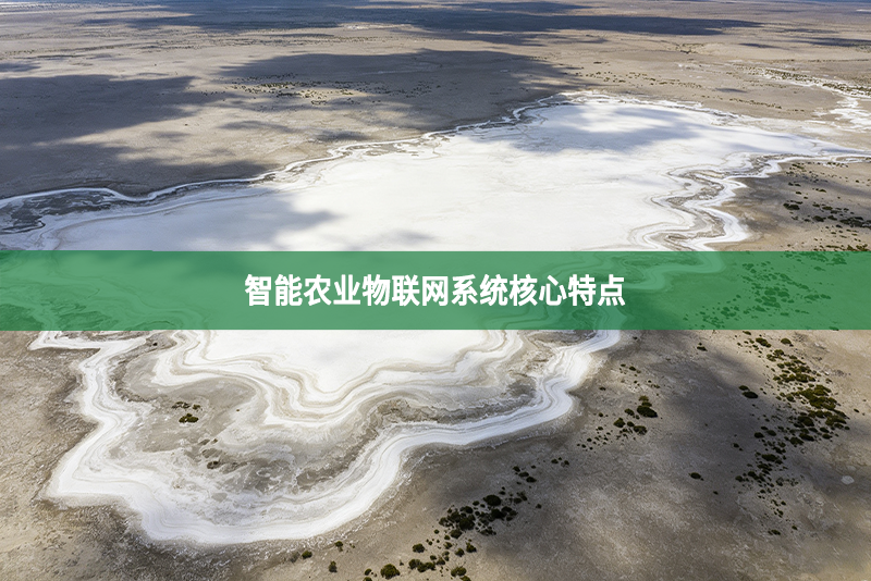 智能农业物联网系统核心特点