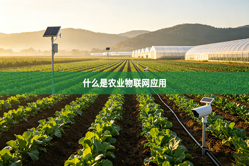 什么是农业物联网应用