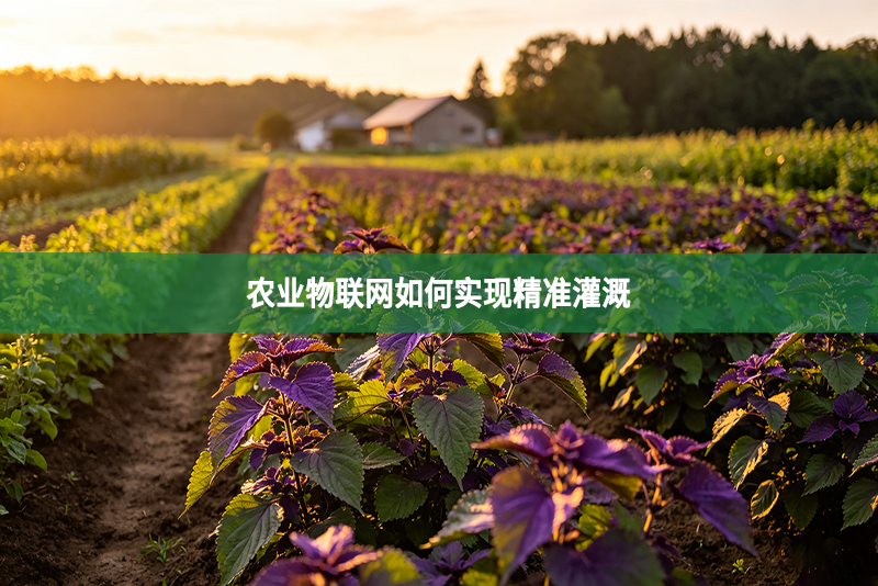 农业物联网如何实现精准灌溉