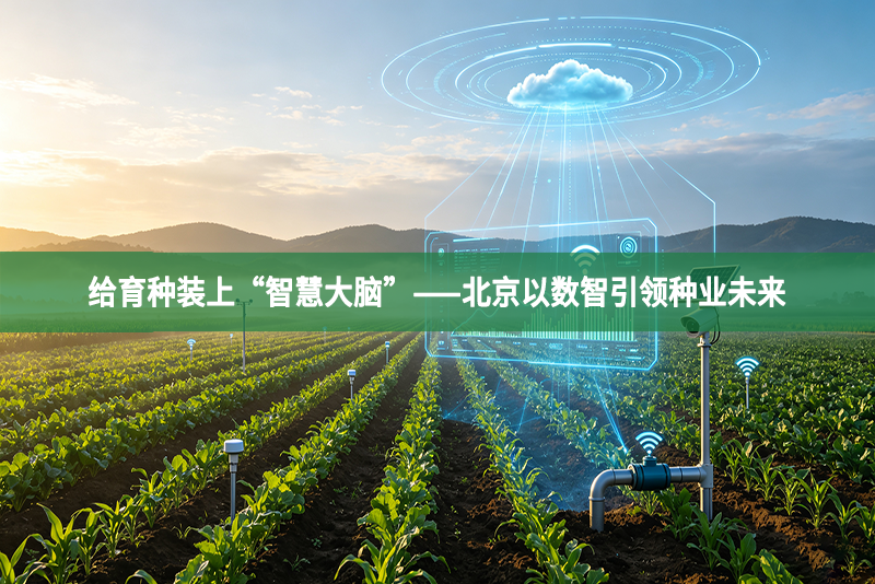 给育种装上“智慧大脑”——北京以数智引领种业未来