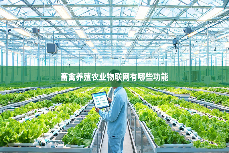 畜禽养殖农业物联网有哪些功能