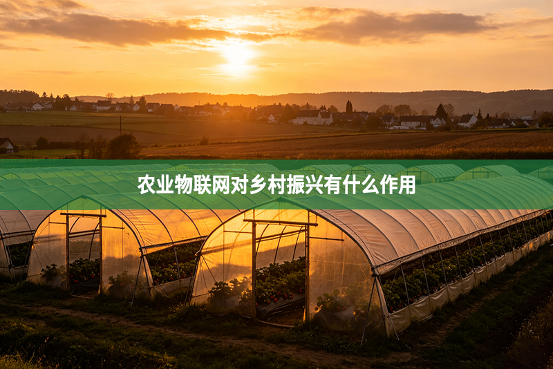 农业物联网对乡村振兴有什么作用