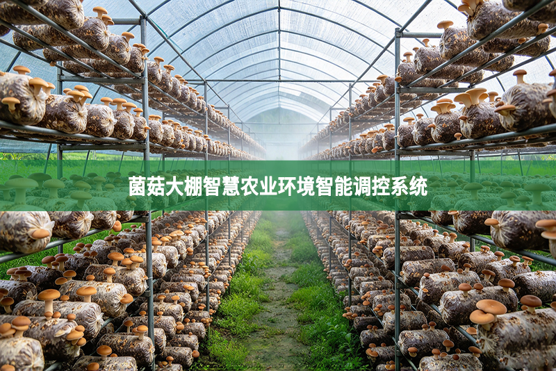 菌菇大棚智慧农业环境智能调控系统