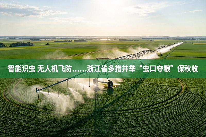 智能识虫 无人机飞防……浙江省多措并举“虫口夺粮”保秋收