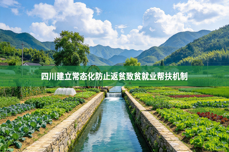 四川建立常态化防止返贫致贫就业帮扶机制