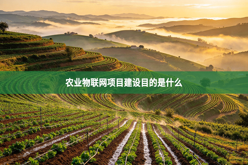 农业物联网项目建设目的是什么