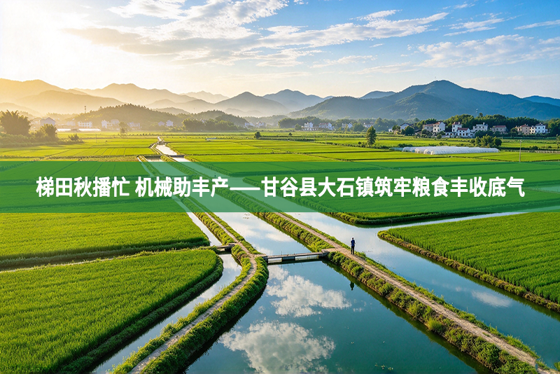 梯田秋播忙 机械助丰产——甘谷县大石镇筑牢粮食丰收底气