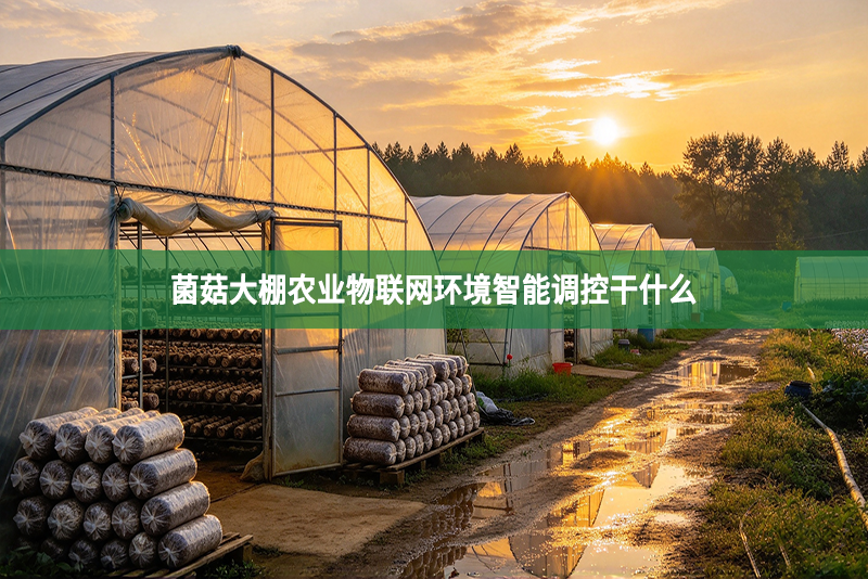 菌菇大棚农业物联网环境智能调控干什么