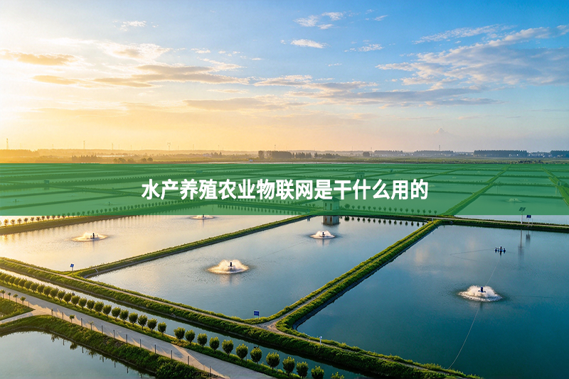 水产养殖农业物联网是干什么用的