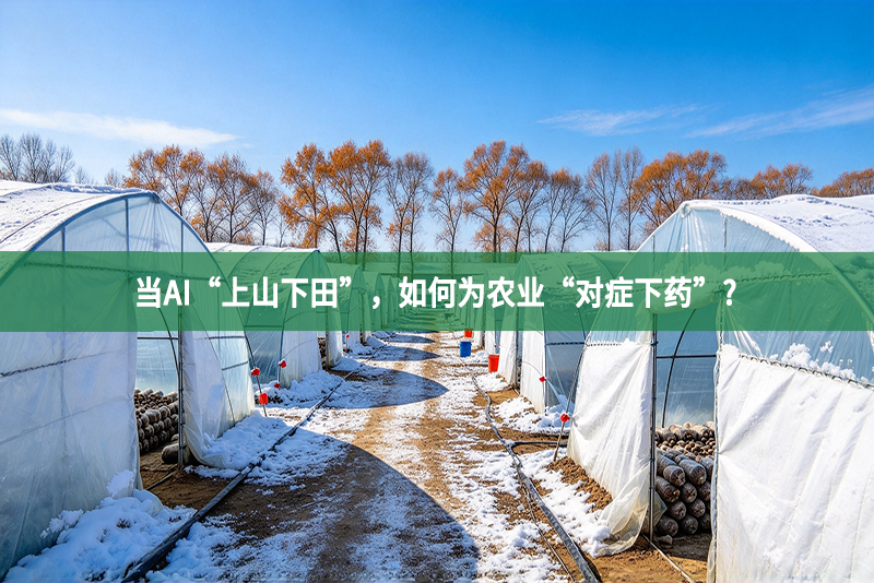 当AI“上山下田”，如何为农业“对症下药”?
