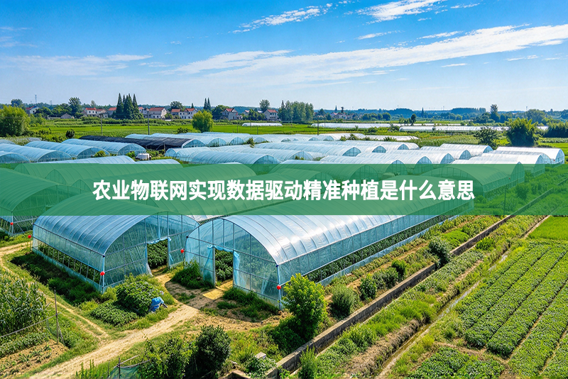 农业物联网实现数据驱动精准种植是什么意思