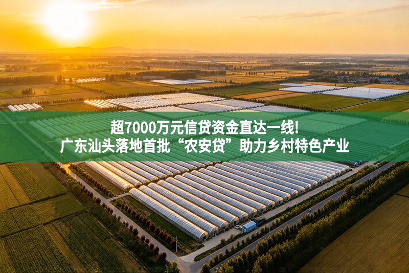 超7000万元信贷资金直达一线!广东汕头落地首批“农安贷”助力乡村特色产业
