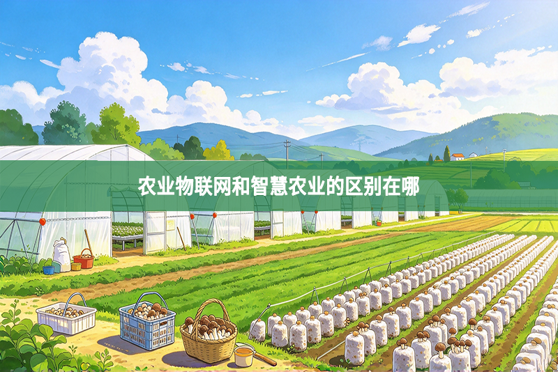 农业物联网和智慧农业的区别在哪